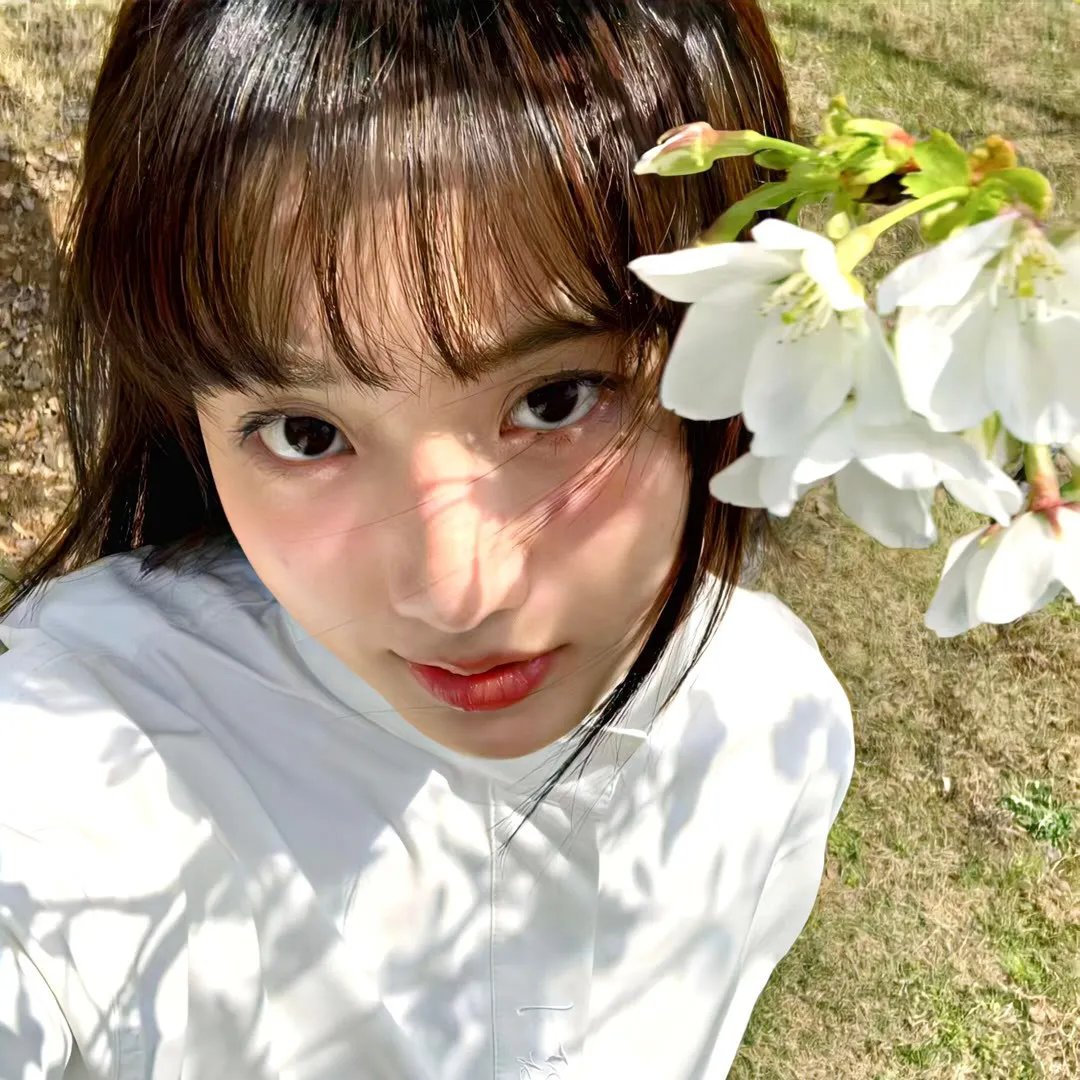 扫毒3